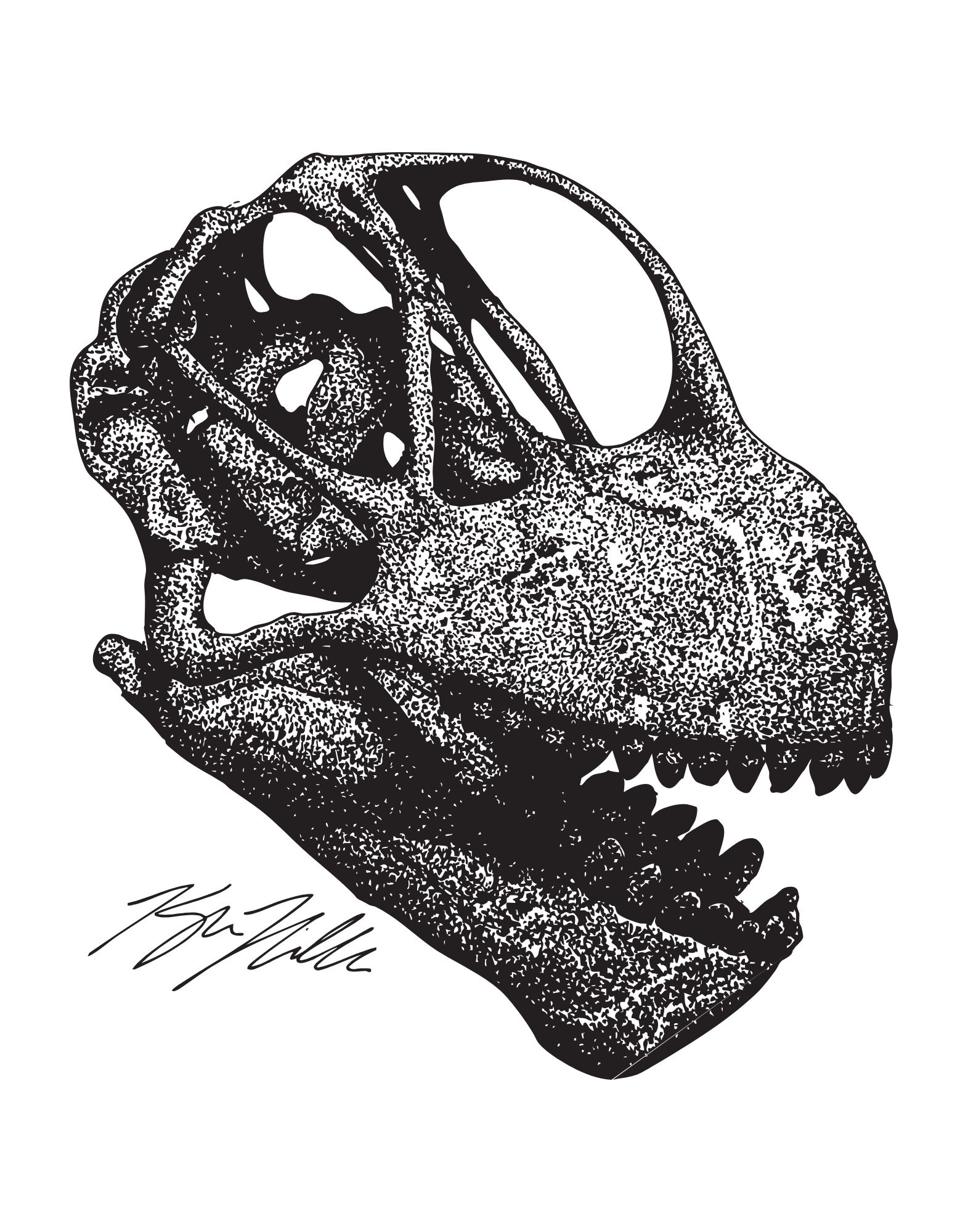 Camarasaurus