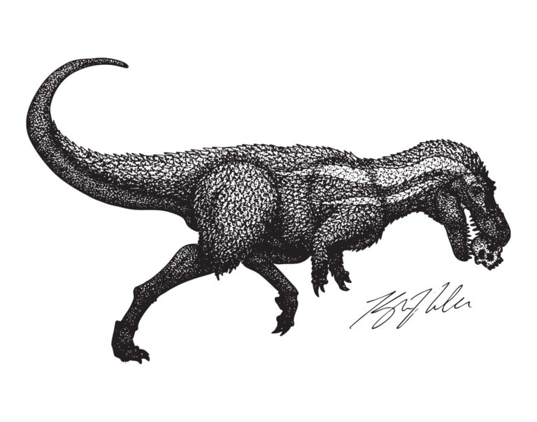 Nannotyrannus
