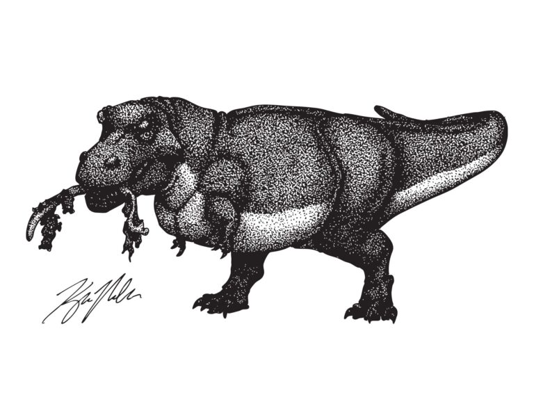 Sue the Tyrannosasurus
